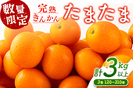 先行予約 数量限定 完熟きんかん たまたま 計3kg以上 (1kg×3箱) フルーツ 果物 くだもの 柑橘 金柑 国産 食品 期間限定 大粒 宮崎ブランド 希少 おすすめ デザート おやつ ギフト 贈り物 贈答 お返し お祝い おすそ分け 産地直送 日南市 送料無料_CC30-23