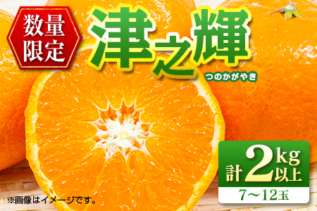 先行予約 数量限定 津之輝 つのかがやき 2kg以上 (2kg×1箱) フルーツ 果物 くだもの 柑橘 みかん 国産 食品 おすすめ ギフト 贈り物 贈答 プレゼント お返し お祝い 記念日 デザート おやつ フルーツサンド ジュース 宮崎県 日南市 送料無料