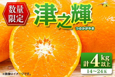 先行予約 数量限定 津之輝 つのかがやき 4kg以上 (2kg×2箱) フルーツ 果物 くだもの 柑橘 みかん 国産 食品 おすすめ ギフト 贈り物 贈答 プレゼント お返し お祝い 記念日 デザート おやつ フルーツサンド ジュース 宮崎県 日南市 送料無料_BD92-24