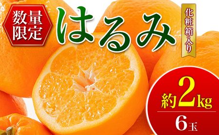 希少な品種!!果汁たっぷり!! 数量限定 はるみ 約2kg 化粧箱入り 期間限定 フルーツ 果物 くだもの 柑橘 みかん 国産 食品 デザート ジュース 産地直送 おやつ 希少 濃厚 ご褒美 おすすめ お土産 ギフト 贈り物 贈答 おすそ分け 宮崎県 日南市 送料無料_CA62-24