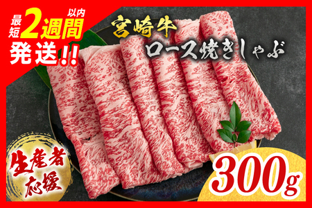 [最短2週間以内で発送]生産者応援 数量限定 宮崎牛 ロース 焼きしゃぶ 計300g 牛肉 ビーフ 黒毛和牛 ミヤチク 国産 ブランド牛 食品 おかず おすすめ 贅沢 イベント お取り寄せ グルメ パック数が選べる 送料無料_B234-24-2W