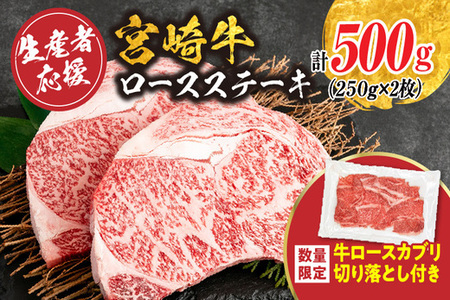 【最短2週間以内で発送】生産者応援 宮崎牛 ロースステーキ 2枚(計500g)牛カブリ 切り落とし サーロイン リブロース 牛肉 黒毛和牛 国産 焼肉 BBQ おかず 人気 ギフト 贈り物 宮崎県 日南市 送料無料_C119-24-ZO-2W