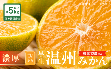 糖度13度以上 先行予約 訳あり 数量限定 早生 温州みかん 計5kg以上 傷み補償分付き 期間限定 フルーツ 果物 くだもの 柑橘 蜜柑 ミカン 国産 わけあり おすすめ おすそ分け おやつ デザート 食品 フルーツサンド みかんジュース 宮崎県 日南市 送料無料_BV3-24