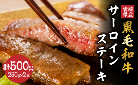 宮崎県産 黒毛和牛 サーロインステーキ 計500g(250g×2枚) 肉 牛肉 ビーフ 国産 ステーキ肉 おかず 食品 BBQ バーベキュー 焼肉 鉄板焼き おすすめ 人気 個包装 小分け 真空パック お祝い 記念日 ご褒美 贈り物 ギフト 贈答 プレゼント 宮崎県 日南市 送料無料_DC19-24