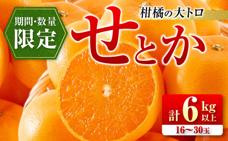 数量限定 柑橘の大トロ せとか 計6kg以上 先行予約 フルーツ 果物 くだもの 柑橘 みかん オレンジ 期間限定 2025 希少 フルーツサンド 大福 国産 食品 おすすめ デザート おやつ ギフト 贈り物 贈答 宮崎県 日南市 送料無料_FD7-24