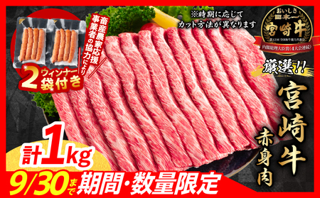 y12{ɂ͂zy{Y_Ɖzʌ I {苍 Ԑg XCX v1kg e҂ECi[  јa  Ef_CB102-25-ZO2-12-G