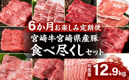 6か月 お楽しみ 定期便 宮崎牛 宮崎県産豚 食べ尽くし セット 総重量12.9kg 数量限定 6回 肉 牛肉 豚肉 国産 食品 黒毛和牛 小分け ロース 豚バラ 小間切れ スライス 焼肉 しゃぶしゃぶ すき焼き おかず 冷凍 おすすめ ギフト 宮崎県 日南市 送料無料