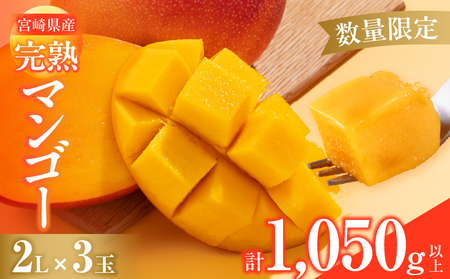 数量限定 宮崎県産 完熟マンゴー 2L×3玉 計1050g以上 期間限定 フルーツ スイーツ 果物 くだもの 食品 グルメ デザート 国産 産地直送 人気 おすすめ おやつ 高級 ご褒美 贅沢 贈り物 ギフト プレゼント お取り寄せ 宮崎県 日南市 送料無料_DB37-25
