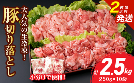 大人気 生冷凍 厳選 豚切り落とし 計2.5kg 豚肉 おすすめ 国産 食品 焼肉 肉じゃが 豚汁 野菜炒め おかず お弁当 晩ご飯 グルメ 小分け 個包装 真空パック おすそ分け お取り寄せ 新鮮 万能食材 宮崎県 日南市 送料無料_CV5-25-2W