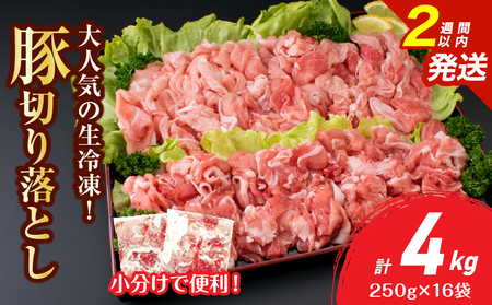 大人気 生冷凍 厳選 豚切り落とし 計4kg 豚肉 おすすめ 国産 食品 焼肉 肉じゃが 豚汁 野菜炒め おかず お弁当 晩ご飯 グルメ 小分け 個包装 真空パック おすそ分け お取り寄せ 新鮮 万能食材 宮崎県 日南市 送料無料_DB36-25-2W