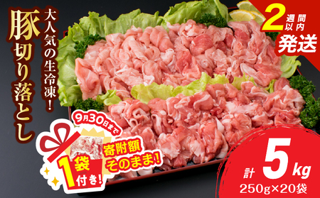 y9/30܂!!zlC Ⓚ I ؐ؂藎Ƃ v5kg ؓ  Y Hi ē Ⴊ ؏` u  ٓ ӂ O   ^pbN  