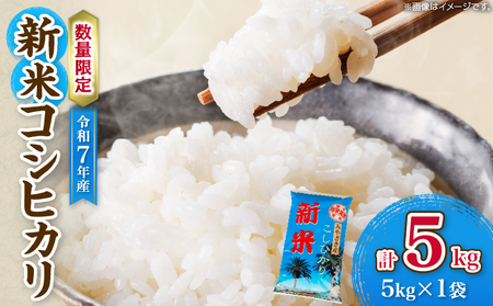 令和7年産 新米 コシヒカリ 計5kg お米 ご飯 ライス 国産 数量限定 期間限定 人気 食品 精米 白米 こしひかり 有洗米 おにぎり お弁当 炊き込みご飯 雑炊 ギフト プレゼント 贈り物 お取り寄せ 産地直送 宮崎県 日南市 送料無料_CA78-25