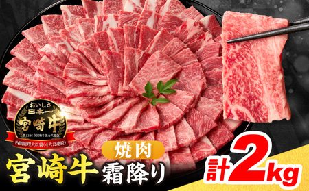 yߘa8N3zzʌ {苍 ~ ē v2kg 4ȏ  јa Y Hi  ō uh Ă BBQ o[xL[ Lv lC  LO 蕨