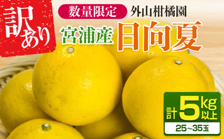 先行予約 訳あり 宮浦産 日向夏 計5kg以上 期間限定 数量限定 フルーツ 果物 くだもの 柑橘 みかん 令和8年発送 国産 産地直送 新鮮 食品 ジュース デザート フルーツサンド おやつ ご褒美 おすそ分け ご家庭用 宮崎県 日南市 送料無料_AAV12-25