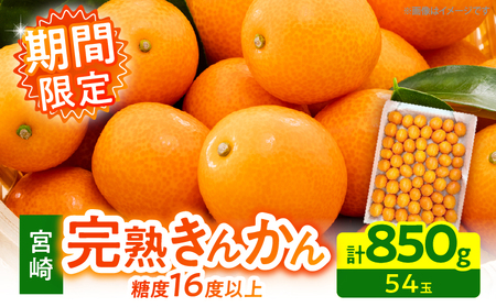 [1週間以内発送]ゴトウさんの 宮崎 完熟 きんかん 約850g(計54玉)_ZX12-25