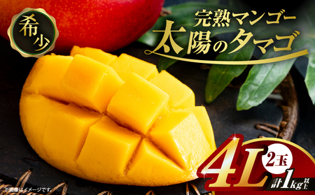 完熟マンゴー 太陽のタマゴ 4L × 2玉_IG5-25