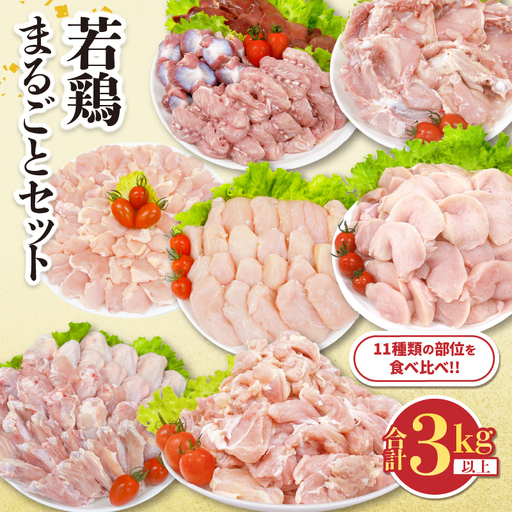 若鶏 まるごと セット 合計3kg以上_CB126-26