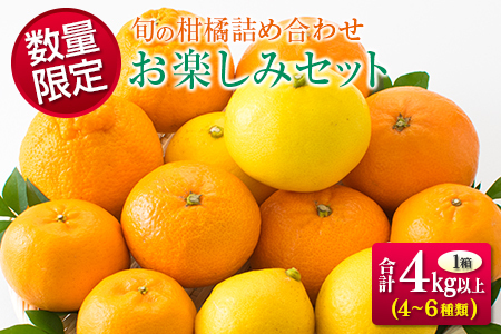 B194-22 ≪数量限定≫旬の柑橘詰め合わせお楽しみセット(合計4kg以上)　フルーツ　果物　みかん