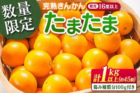 糖度16度以上 数量限定 完熟 きんかん たまたま 計1kg以上 傷み補償分付き フルーツ 果物 期間限定 ブランド 金柑 柑橘 国産 食品 人気 おすすめ A品 産地直送 ギフト 贈り物 贈答 プレゼント ご褒美 おすそ分け デザート 宮崎県 日南市 送料無料_B215-23