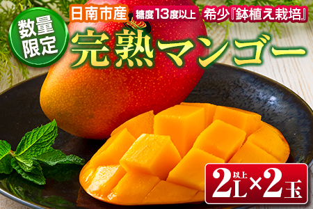 ≪数量限定≫希少「完熟マンゴー」2L以上×2玉　フルーツ　果物　国産　鉢植え栽培 BD58-22