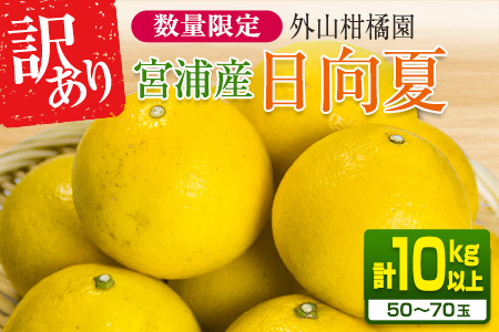 s\ 󂠂 {YY  v10kgȏ Ԍ ʌ t[c ʕ  k ݂ ߘa8N Y Yn VN Hi W[X fU[g t[cTh  J 