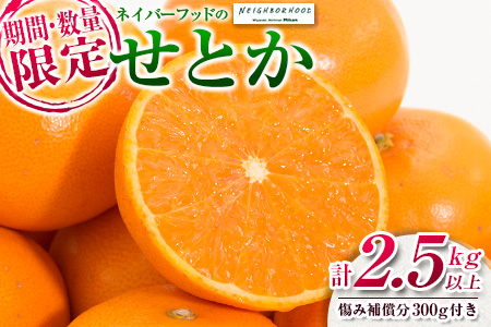 BA25-21 数量限定≪柑橘の大トロ≫ネイバーフッドのせとか(計2.5kg以上)傷み補償分300g付き　フルーツ　果物　みかん