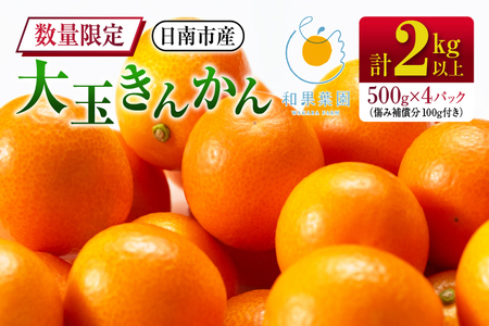 年内発送 食べ応え抜群 大玉 きんかん 計2kg以上 傷み補償分付き 数量限定 期間限定 フルーツ 果物 くだもの 柑橘 金柑 先行予約 国産 希少 人気 おすすめ ジャム おやつ デザート 小分け おすそ分け 贈り物 ギフト 贈答 ご褒美 産地直送 宮崎県 日南市 送料無料_B233-24