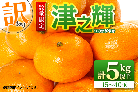 先行予約 訳あり 数量限定 津之輝 つのかがやき 5kg以上 (5kg×1箱) フルーツ 果物 くだもの 柑橘 みかん 国産 食品 おすすめ 訳アリ ご家庭用 ご自宅用 B品 傷 おすそ分け デザート おやつ フルーツサンド ジュース 宮崎県 日南市 送料無料_BB86-23