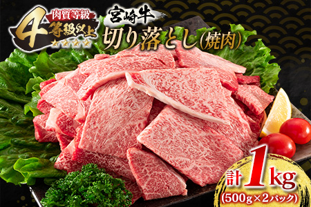 宮崎牛 切り落とし 焼肉 計1kg 肉 牛 牛肉 国産 食品 おかず 黒毛和牛 焼き肉 BBQ 送料無料_DC15-23