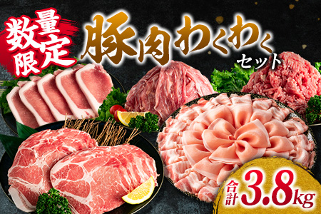 数量限定 豚肉 わくわく セット 合計3.8kg ポーク 国産 豚ロース とんかつ スライス 豚切り落とし 豚バラ しゃぶしゃぶ ミンチ 挽肉 ハンバーグ すき焼き 弁当 おかず おつまみ 万能食材 真空パック 大容量 詰め合わせ お取り寄せ 宮崎県 日南市 送料無料_CC33-23