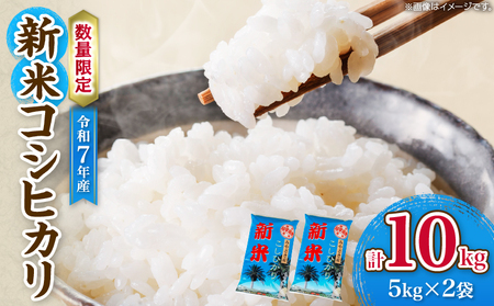 令和7年産 新米 コシヒカリ 計10kg お米 ご飯 ライス 国産 数量限定 期間限定 人気 食品 精米 白米 こしひかり 有洗米 おにぎり お弁当 炊き込みご飯 雑炊 ギフト プレゼント 贈り物 お取り寄せ 産地直送 宮崎県 日南市 送料無料_FA10-25