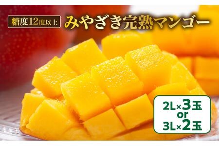 期間限定 マンゴー みやざき 完熟マンゴー 2〜3玉 フルーツ 果物 国産 3L 2L 食品 デザート 産地直送 送料無料