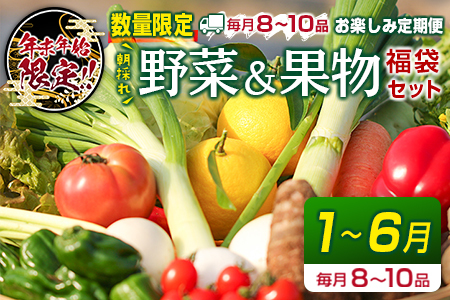 毎月届く フルーツ 検索結果 ふるさと納税サイト ふるなび