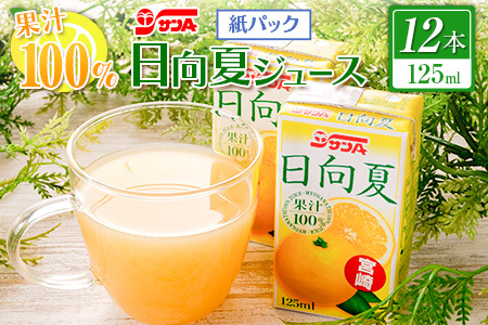 果汁100% 日向夏 ジュース 紙パック 125ml×12本 ソフトドリンク 飲料 果物 フルーツ 国産 食品 果汁飲料 柑橘 送料無料 
