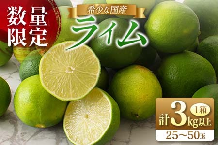 先行予約 皮まで使える ライム 計3kg以上 希少 国産ライム 果物 くだもの フルーツ 柑橘 期間限定 数量限定 おすすめ 塩 ジュース 飲み物 サラダ 調味料 焼肉 バーベキュー BBQ デザート おすそ分け 産地直送 食品 お土産 宮崎県 日南市 送料無料_AV2-25