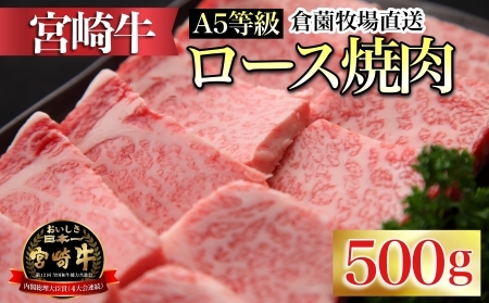 [C166・百名店の味をご自宅で!]A5等級宮崎牛ロース焼肉用 500g