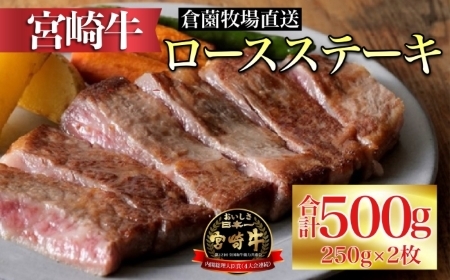 [百名店の味をご自宅で!]ビーフくらぞの・小林市産宮崎牛ロースステーキ 250g×2枚(国産 牛肉 黒毛和牛 宮崎牛 霜降り ロース ステーキ 内閣総理大臣賞 冷凍)