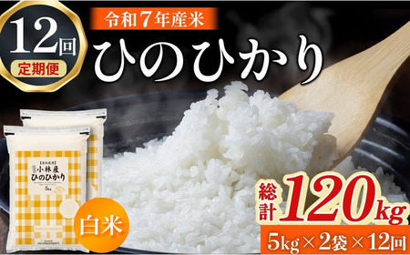 �y�ߘa7�N�Y�āz�q�m�q�J�� 10kg×12�� ���� �� �V�� �q�m�q�J�� ���Y �l�C ���ٓ� ���ɂ��� �{�茧 ���юs