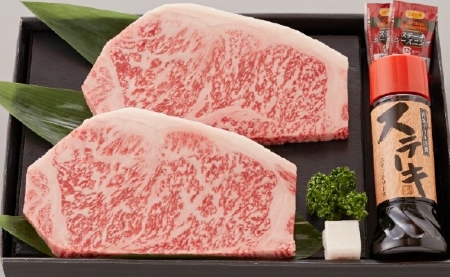 [人気鉄板焼き店厳選]熟成宮崎牛A5等級サーロインステーキセット オリジナルソース付き(国産 牛肉 黒毛和牛 宮崎牛 焼肉 ステーキ 霜降りサーロイン 特製タレ付き) ステーキ 和牛ステーキ 牛肉ステーキ 国産ステーキ サーロインステーキ