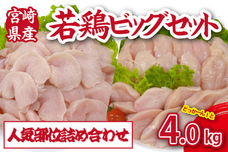 [人気部位詰め合わせ]宮崎県産若鶏4kgビッグセット(若鶏 国産 モモ ムネ ササミ 小分け 大容量 冷凍 鶏肉セット 鶏肉セット 鶏肉セット 鶏肉セット )