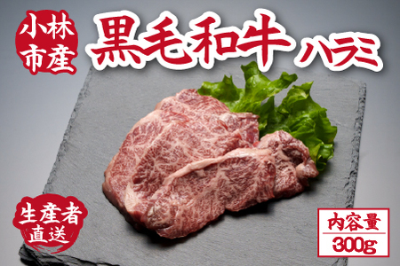 yД_azXw荕јan~@300giY јa  n~ ē BBQ Ⓚ j