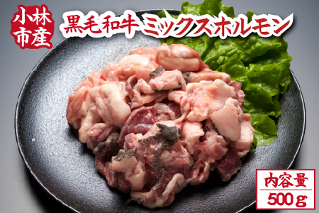 [自社農場和牛]黒毛和牛ミックスホルモン 500g(国産 牛肉 黒毛和牛 ホルモン 焼肉 BBQ 冷凍) 焼肉 和牛焼肉 牛肉焼肉 ホルモン焼肉 国産焼肉
