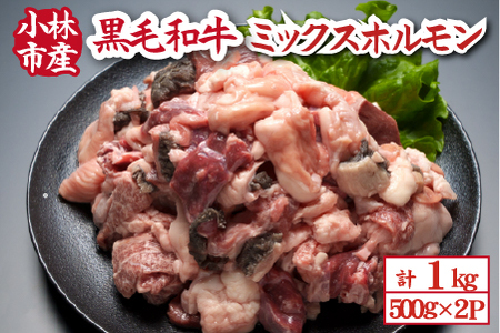 [自社農場和牛]黒毛和牛ミックスホルモン 1kg(500g×2P 国産 牛肉 黒毛和牛 ホルモン 焼肉 BBQ 冷凍)