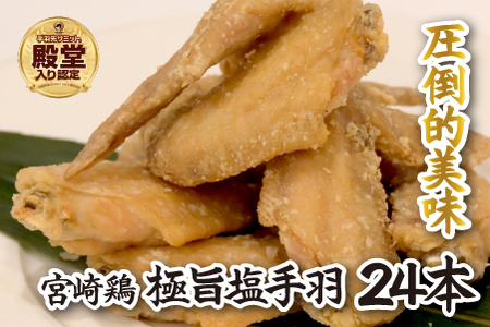 【手羽先サミット殿堂入り！】極旨塩 手羽先 唐揚げ 24本（国産 鶏肉 手羽 手羽先 唐揚げ 塩 味付き 限定 冷凍）