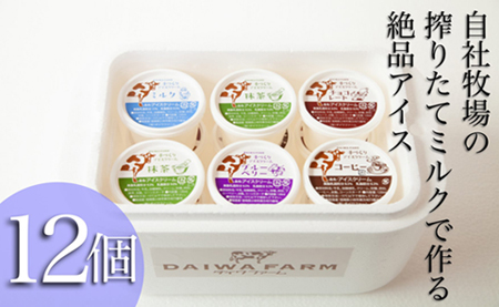 【大人気！】搾りたてミルクのアイスセット 12個（アイス スイーツ デザート 乳製品 生乳 牛乳 カップアイス 小分け 人気 地域限定 宮崎 小林市） アイス 冷凍 アイススイーツ アイスデザート アイス ミルクアイス アイスセット