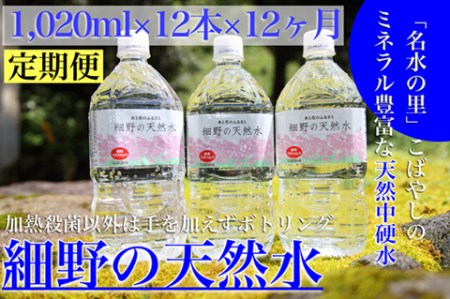 【定期便・霧島連山天然水 年12回】ミネラルたっぷり天然中硬水 細野の天然水1,020ml×12本×12回（国産 ナチュラルウォーター ミネラルウォーター 天然水 水 中硬水 シリカ 美容 人気 霧島 宮崎 小林市 送料無料）