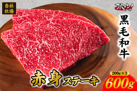 [年末限定規格]小林市産 黒毛和牛 赤身ステーキ 200g×3枚(牛肉 国産牛 黒毛和牛 和牛 赤身 ステーキ)