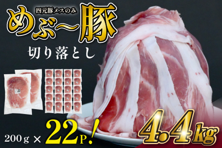 [年末限定受付!]地元ブランド豚 "めぶ~豚" 贅沢 切り落とし 4.4kg(200g×22P 豚肉 豚 お肉 切り落とし こま切れ 小間切れ 小分け 限定)