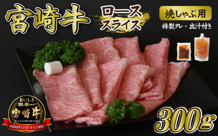 y΂₵Vz{苍[XĂ 300g ^Eo`ti {苍 јa [X Ԑg Ԃ {j