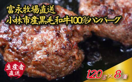 [自社農場和牛]富永和牛手作りハンバーグ(ハンバーグ 牛肉 牛肉100% 国産 冷凍 調理済 宮崎 惣菜 小林市)